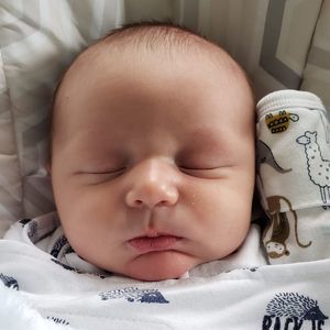 Meet your Posher, Gina